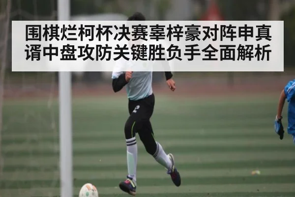 围棋烂柯杯决赛辜梓豪对阵申真谞中盘攻防关键胜负手全面解析